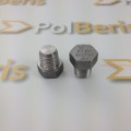 Plug 1'' NPT stainless 304L