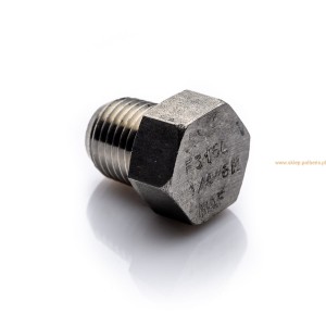 Plug 1/4'' NPT stainless 304L