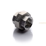 Stainless union 3/4'' BSP