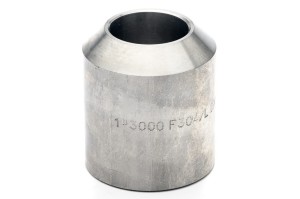 BOSS 1'' socket weld 304 cl.3000