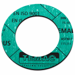 Gasket TEMPLUS DN150 PN10