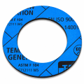Gasket DN20 PN10–40 × 3 mm TEMASIL NG.png