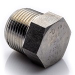 Plug 2'' NPT stainless 304L