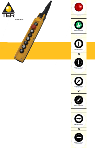 Kaseta Sterownicza F70BY12060000004 MIKE pilot TER www.sklep.polberis.pl Pedant Control Stations.png